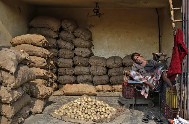 A worker takes a nap inside a shop selling potatoes at a wholesale vegetable market in Delhi February 12, 2015. (Photo by Anindito Mukherjee/Reuters)