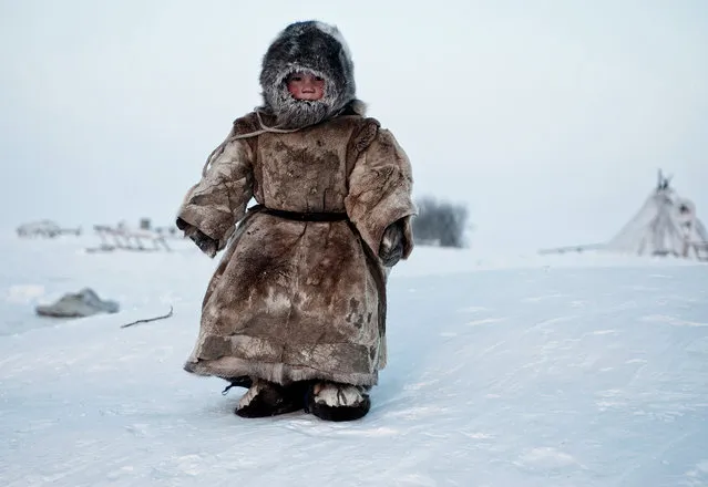 “Boy in the Tundra”, 2nd place. (Photo by Simon Morris/Sony World Photography Awards/WENN.com)