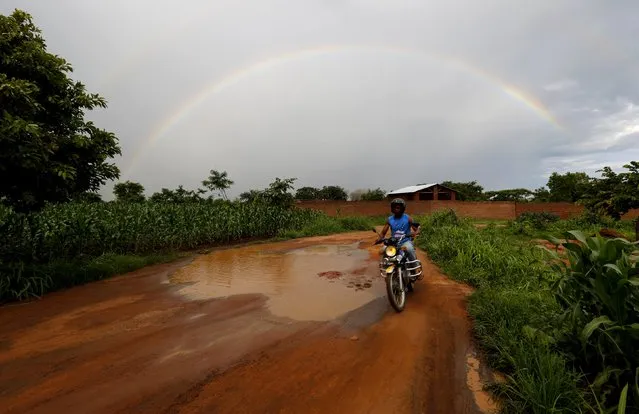 Storm clouds hang over a rainbow as a motorcyclist rides past a field of maize after late rains near Malawi's capital Lilongwe, February 1, 2016. Late rains in Malawi threaten the staple maize crop and have pushed prices to record highs. About 14 million people face hunger in Southern Africa because of a drought that has been exacerbated by an El Nino weather pattern, according to the United Nations World Food Programme (WFP). (Photo by Mike Hutchings/Reuters)