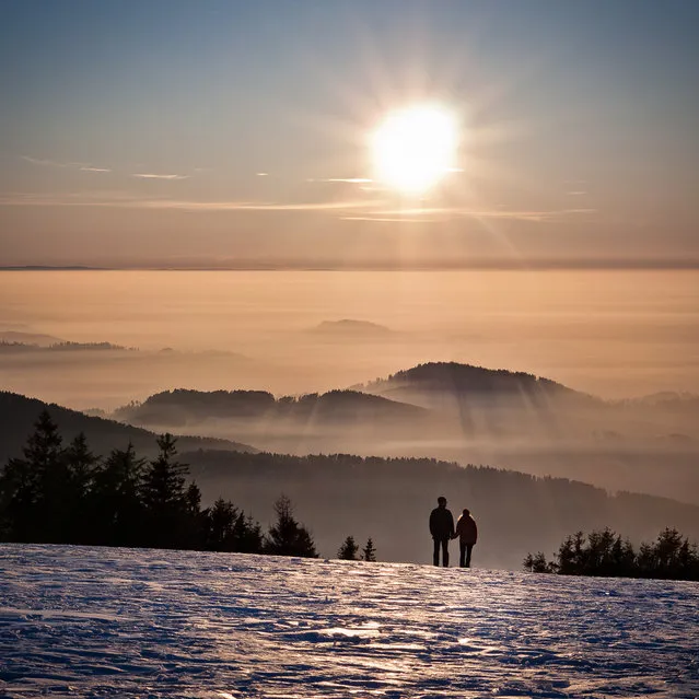 “Towards the Light”. Baden-Württemberg, Germany. (Photo and caption by Andreas Wonisch)
