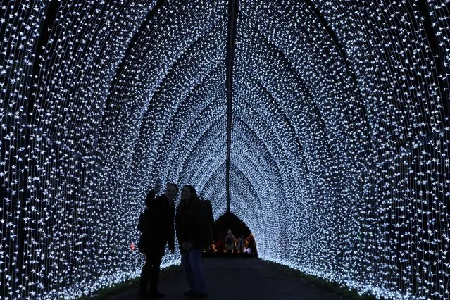 People walk through the festive light trail at The Royal Botanic Gardens, Kew, in London, Tuesday, November 14, 2023. This years festive light trail is a celebration of nature by night, bringing Kew's natural architecture to life, it runs from Wednesday Nov.15 to Sunday Jan. 7. (Photo by Kirsty Wigglesworth/AP Photo)
