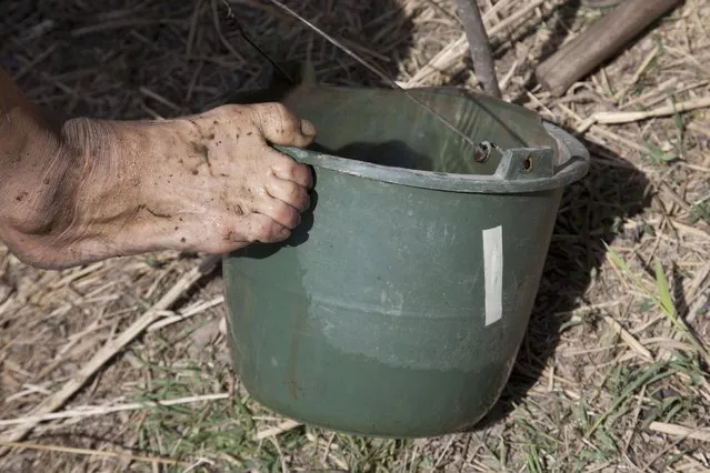 In this April 23, 2015 photo, Jia Wenqi uses his foot to pour a bucket of water in Yeli village near Shijiazhuang city in northern China's Hebei province. (Photo by Helene Franchineau/AP Photo)