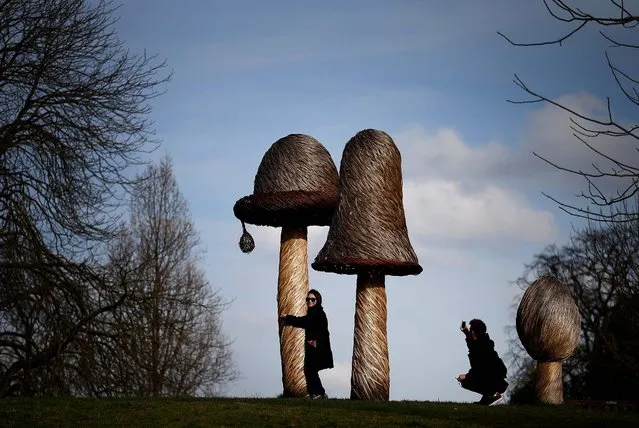 A couple take photographs of giant willow mushroom sculptures at The Royal Botanical Gardens, Kew, in London, on March 6, 2014. (Photo by Peter Macdiarmid/Getty Images)