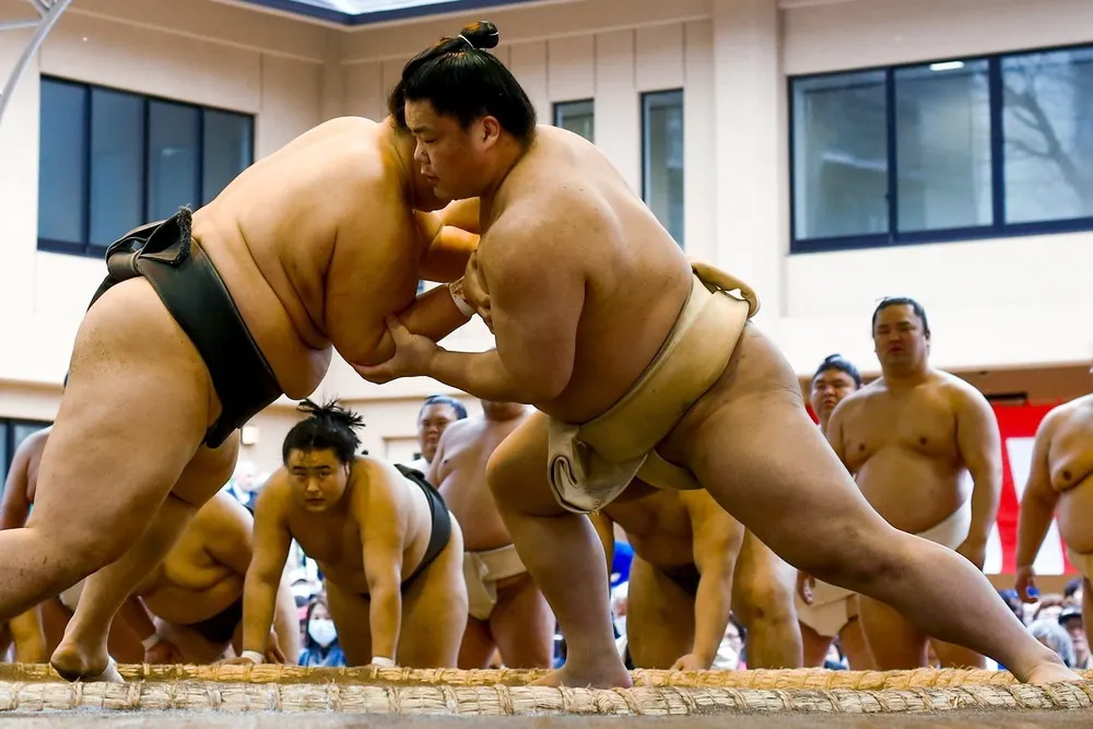 Sumo Wrestling – the Honozumo