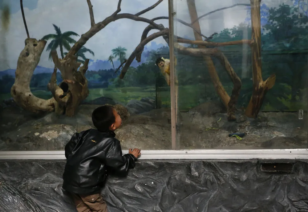 Photographer Vincent Yu