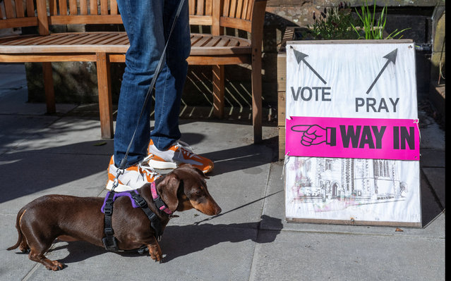 A person and a dog wait outside St James' Church polling station during the general election in Edinburgh, Scotland, Britain, on July 4, 2024. (Photo by Lesley Martin/Reuters)