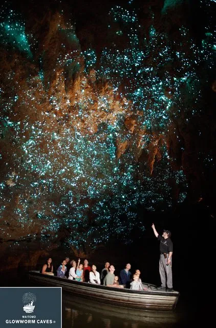 Waitomo Glowworm Caves New Zealand