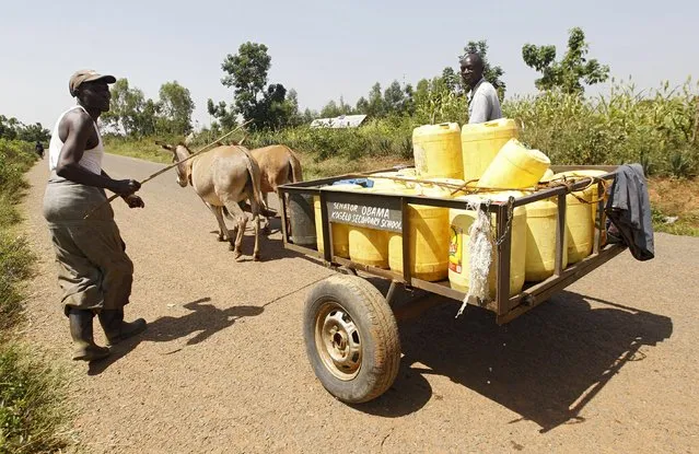 Men drive a donkey-cart as they carry water from a stream in the village of Nyang'oma Kogelo, west of Kenya's capital Nairobi, July 15, 2015. (Photo by Thomas Mukoya/Reuters)