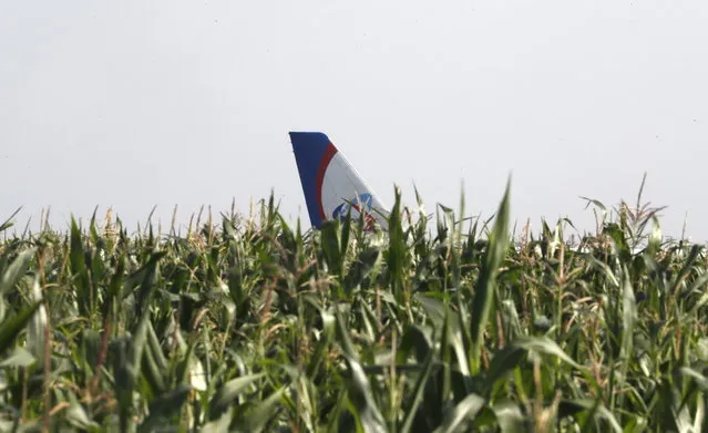 A view of the tail of a Ural Airlines A-321 passenger plane at the site of its emergency landing outside Zhukovsky airport in Ramensky district of Moscow region, Russia, 15 August 2019. A-321 with 226 passengers and seven crew members on board en-route from Moscow to Simferopol made emergency landing after a right engine failure following the plane's colliding with seagulls shortly after take-off. Ten people were hospitalized following the accident. (Photo by Sergei Ilnitsky/EPA/EFE)