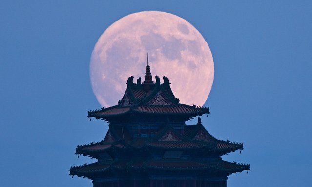 A Supermoon rises over a pagoda during the Mid Autumn Festival in Nanjing, in east China's Jiangsu province, Tuesday, September 17, 2024. (Chinatopix via AP Photo)