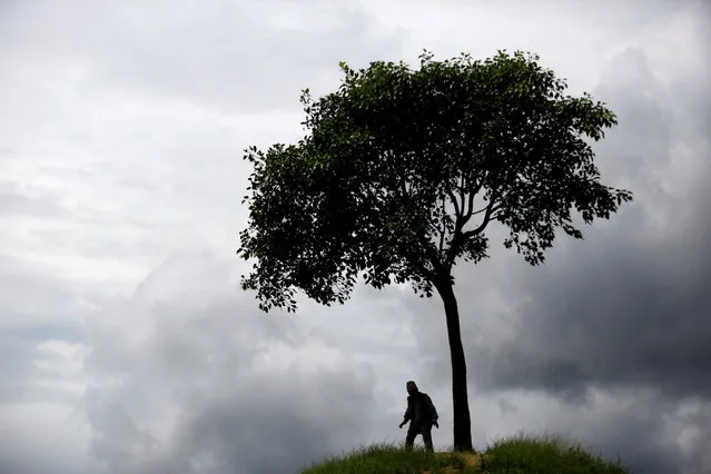A man walks along the hilltop known as one tree hill in Lalitpur, Nepal on August 3, 2017. (Photo by Navesh Chitrakar/Reuters)