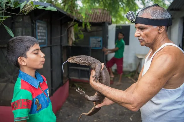 Prakash Amte and his grandson are seen playing with a Monitor Lizard on September 19, 2017 in Maharashtra, India. (Photo by Haziq Qadri/Barcroft Media)