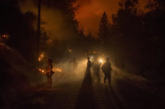 Firefighters light a backfire while battling the Butte fire near San Andreas, California September 12, 2015. (Photo by Noah Berger/Reuters)