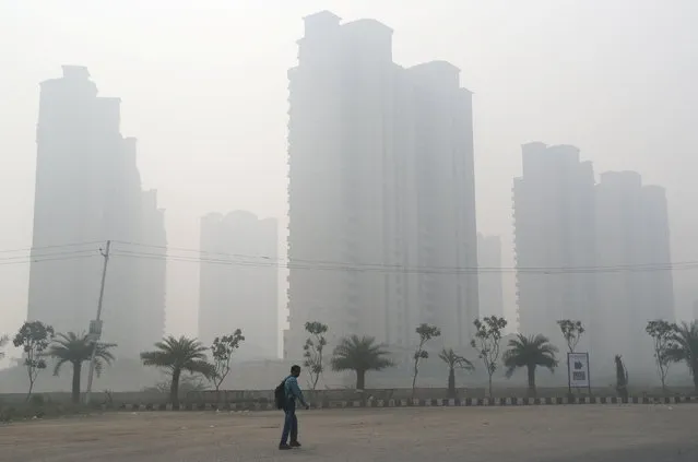 A man walks through smog near Delhi, November 13, 2017. (Photo by Cathal McNaughton/Reuters)