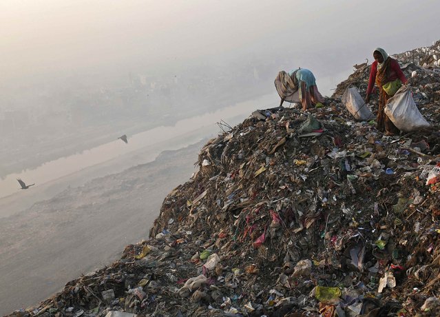 Rag pickers collect recyclable material at a garbage dump in New Delhi November 19, 2014. (Photo by Ahmad Masood/Reuters)