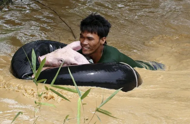 A man holds a pig on a floater to cross a flooded road amidst a strong current in Sta Rosa, Nueva Ecija in northern Philippines October 19, 2015, after it was hit by Typhoon Koppu. (Photo by Erik De Castro/Reuters)