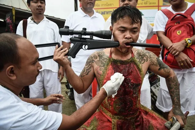 A devotee of the Nine Emperor Gods is seen with a rifle through his cheek during the annual Phuket Vegetarian Festival in the southern province of Phuket on October 3, 2016. (Photo by Lillian Suwanrumpha/AFP Photo)