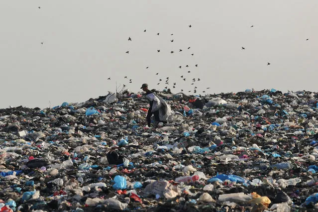 Palestinians collect plastic from a waste dump east of Gaza City, on March 3, 2023. (Photo by Mohammed Abed/AFP Photo)