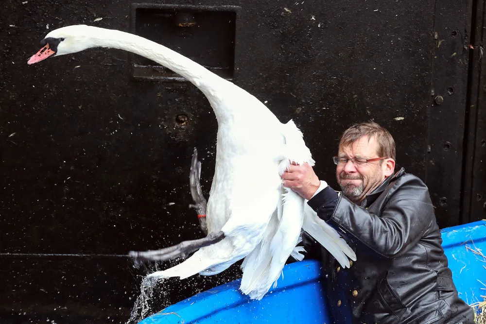 The Day in Photos – November 18, 2015