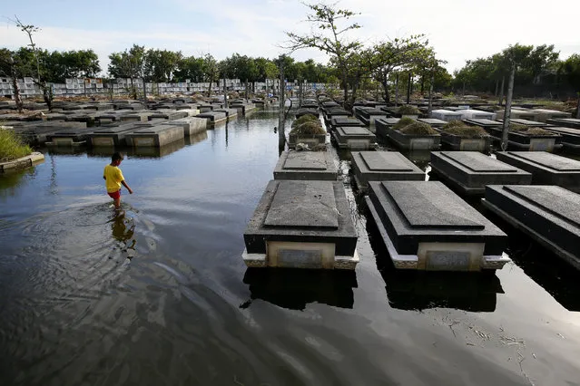 A boy wades through a flooded cemetery as the country prepares for the traditional honoring of the departed every Nov. 1 known as All Saints Day, at Masantol township, Pampanga province north of Manila, Philippines Wednesday, October 26, 2016. (Photo by Bullit Marquez/AP Photo)