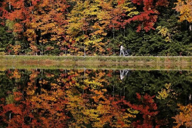 A woman pushes a baby stroller around Dream Lake amid fall foliage in Amherst, New Hampshire October 13, 2015. (Photo by Brian Snyder/Reuters)