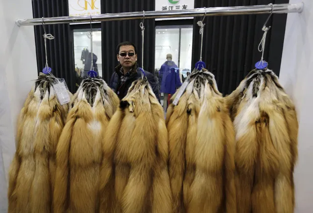 A buyer looks at the fur of farmed fox at the 2015 China Fur and Leather Products Fair in Beijing, January 15, 2015. Hundreds of domestic and foreign fur product companies take part in the fair. (Photo by Jason Lee/Reuters)