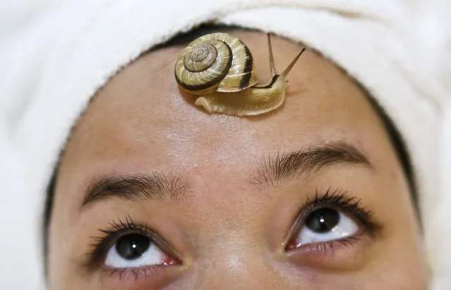 A snail crawls on the forehead of a woman during a demonstration of a new beauty treatment at Clinical-Salon Ci:z.Labo in central Tokyo, on July 17, 2013. The salon charges $110 for a five-minute session with the snails as an optional add-on for customers who apply for a “Celeb Escargot Course”, an hour-long treatment routine of massages and facials based on products made from snail slime that is believed to make one's skin supple as well as remove dry and scaly patches. (Photo by Issei Kato/Reuters)