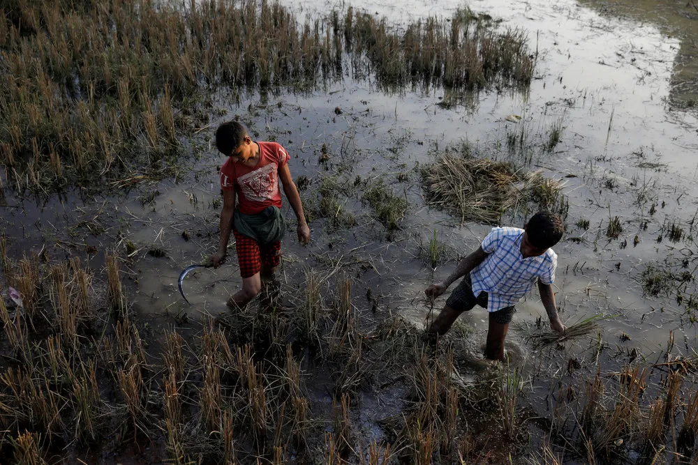 Some Photos: Child Labor