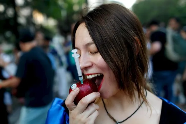 An activist pretends to eat an apple during a protest against the TPP (Trans-Pacific Partnership) and Monsanto Co, the world's largest seed company at Santiago, Chile, January 22, 2016. (Photo by Pablo Sanhueza/Reuters)