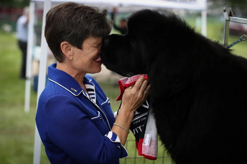 USA last Week, Part 1/2