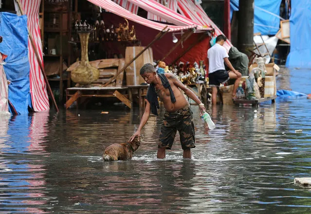 A man pets a dog along a flooded street caused by rains from Typhoon Nock-Ten in Quezon city, north of Manila, Philippines on Monday, December 26, 2016. The powerful typhoon slammed into the eastern Philippines on Christmas Day, spoiling the biggest holiday in Asia's largest Catholic nation, where a governor offered roast pig to entice villagers to abandon family celebrations for emergency shelters. (Photo by Aaron Favila/AP Photo)