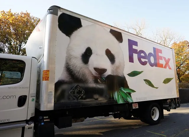 A truck stands ready to transport a giant panda from Smithsonian’s National Zoo to China, in Washington, U.S., November 8, 2023. (Photo by Kevin Lamarque/Reuters)