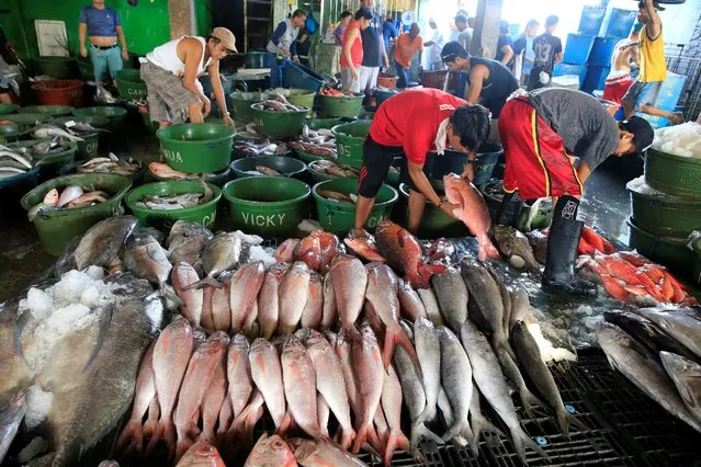 Vendors prepare fish to be sold at a local wet market in Navotas fish port, metro Manila, Philippines December 30, 2016. (Photo by Romeo Ranoco/Reuters)