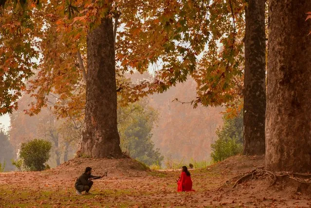 Visitors take pictures inside a garden during an autumn day in Srinagar on November 9, 2023. Autumn, locally known as Harud, is a season of harvesting in Kashmir with trees changing their colours while the day light hours become shorter as winter approaches. (Photo by Saqib Majeed/SOPA Images/Rex Features/Shutterstock)