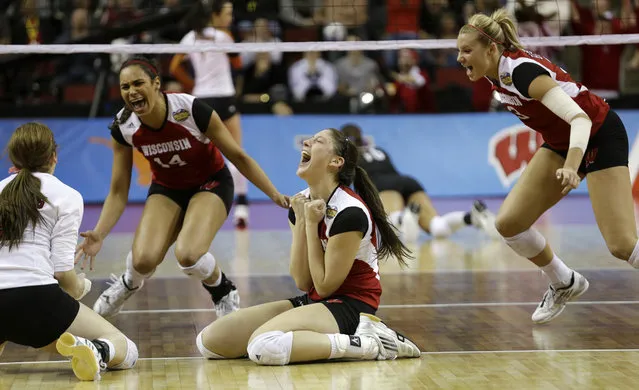 Wisconsin's Lauren Carlini, center, celebrates with teammates after they beat Texas in an NCAA women's volleyball tournament semifinal Thursday, December 19, 2013, in Seattle. (Photo by Elaine Thompson/AP Photo)