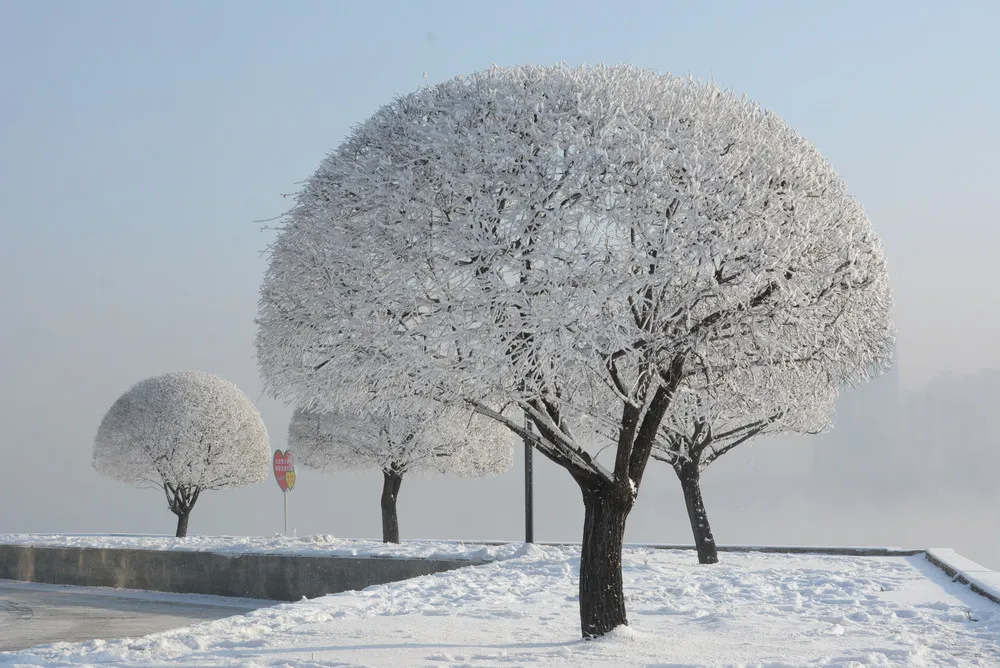 Winter Season, Part 3