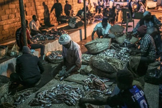 In this Thursday, April 16, 2015 photo, Sudanese fishermen clean fish before selling them at the Omdurman fish market, which operates from before dawn until sunrise, in Khartoum, Sudan. (Photo by Mosa'ab Elshamy/AP Photo)