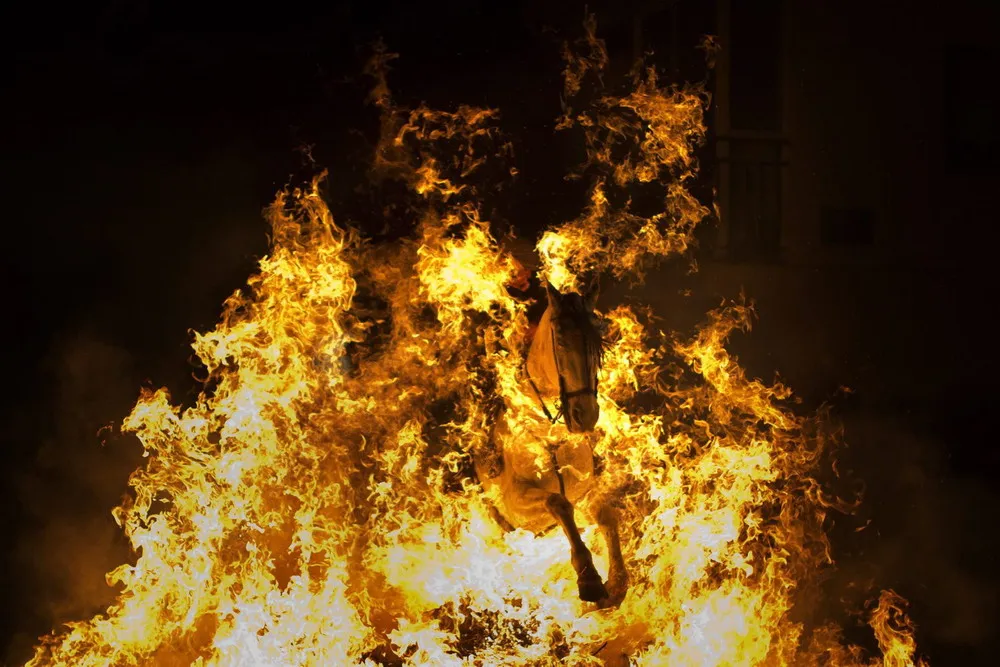 Las Luminarias de San Anton Festival 2014