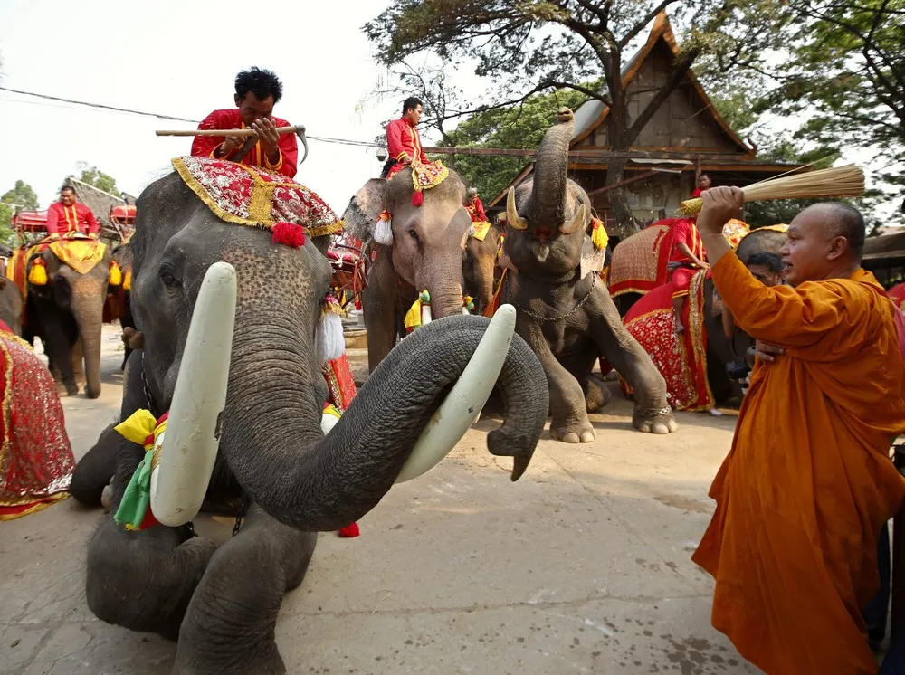 National Elephant Day in Thailand