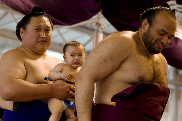 A sumo wrestler carries a baby before the “Honozumo” ceremonial sumo tournament at the Yasukuni Shrine in Tokyo April 3, 2015. (Photo by Thomas Peter/Reuters)