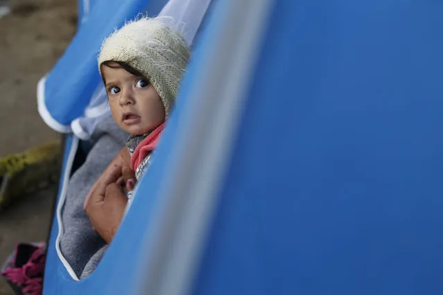 A migrant baby peers from a tent at the border crossing at the northern Greek border point of Idomeni, Greece on April 8, 2016. A plan to send back migrants from Greece to Turkey sparked demonstrations by local residents in both countries days before the deal brokered by the European Union is set to be implemented. (Photo by Amel Emric/AP Photo)