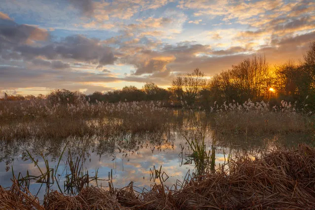 Sunrise at a Lincolnshire Wildlife Trust nature reserve in Barton-upon-Humber, North Lincolnshire, UK. (Photo by Lee Beel/Alamy Stock Photo)