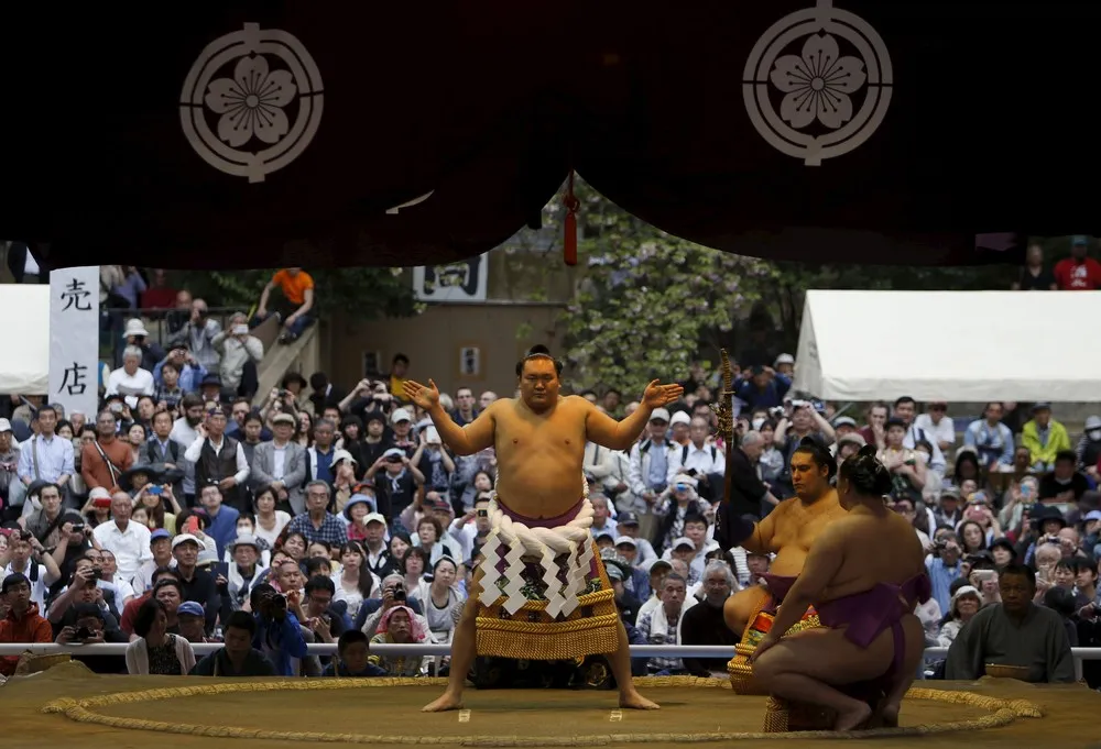 Sumo Tournament in Tokyo