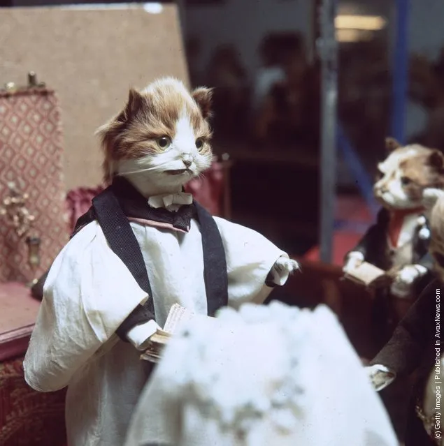 Victorian stuffed animals created by taxidermist Walter Potter at Potter's Museum of Curiosity