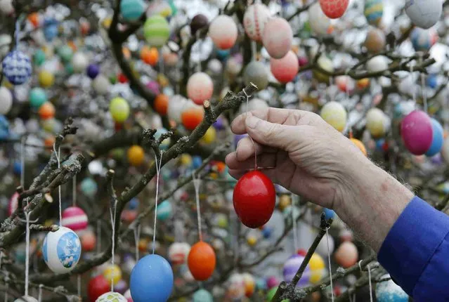 German pensioner Volker Kraft decorates an apple tree with Easter eggs in the garden of his summerhouse, in the eastern German town of Saalfeld, March 19, 2014. (Photo by Fabrizio Bensch/Reuters)