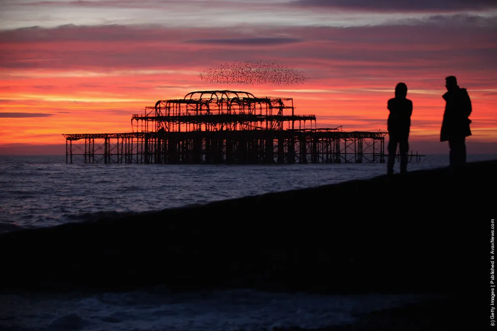 Starlings Mark The Winter Solstice in Brighton