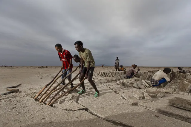 February 8, 2014 – Danakil Desert, Ethiopia: Workers mining salt at the quarry. (Photo by Ziv Koren/Polaris)