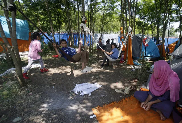 Children swing in hammocks in the makeshift refugee camp near the Horgos border crossing into Hungary, near Horgos, Serbia, Friday, May 27, 2016. Nearly 400,000 refugees passed through Hungary last year on their way to richer EU destinations. The flow was slowed greatly by Hungary's construction of razor-wire fences on its borders with Serbia and Croatia. (Photo by Darko Vojinovic/AP Photo)