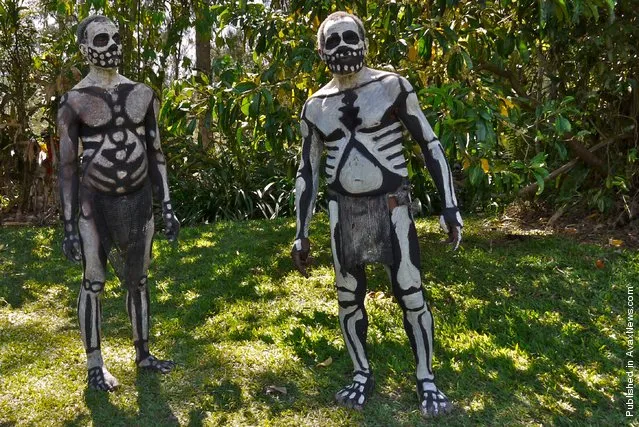 Chimbu Tribe And The Skeleton Body Painting