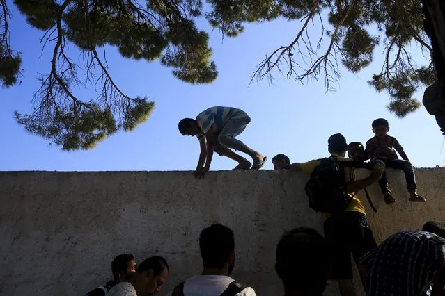 Migrants climb a wall of the national stadium of the Greek island of Kos, where a registration exercise for the migrants are taking place, August 12, 2015. (Photo by Alkis Konstantinidis/Reuters)